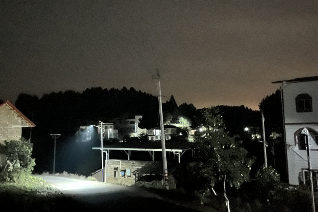 点亮乡村振兴路 ，温暖群众幸福家——省尊龙凯时集团捐资“亮化工程”惠及80余户老百姓